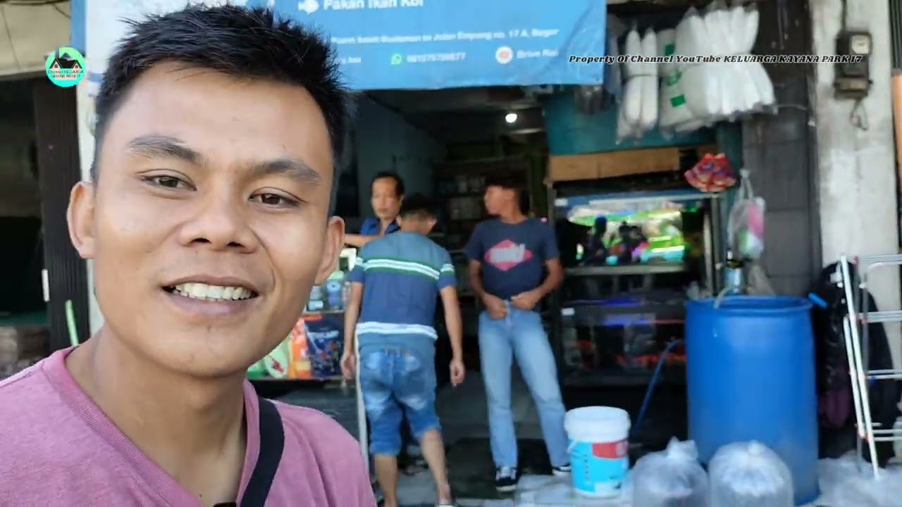 MENAWAR ikan Koi Harus Akrab Dulu Kepada Pedagangnya Dipasar Koi Empang Bogor @KELUARGAKKP17 #koi