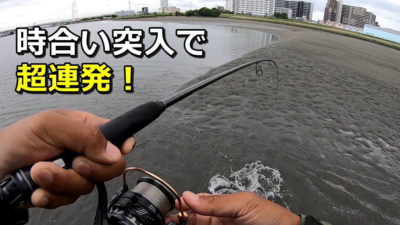 真昼間の河川でシーバス釣りしてたら...巨大魚に超連発も！