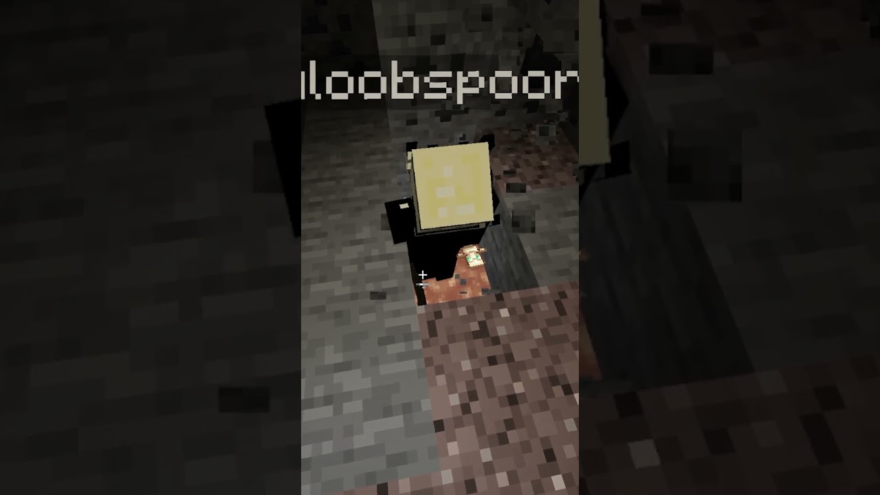 cre&iacute; todo, menos esto @gloobpoorts #minecraft #minecraftshorts #humorviral #humor #bromas