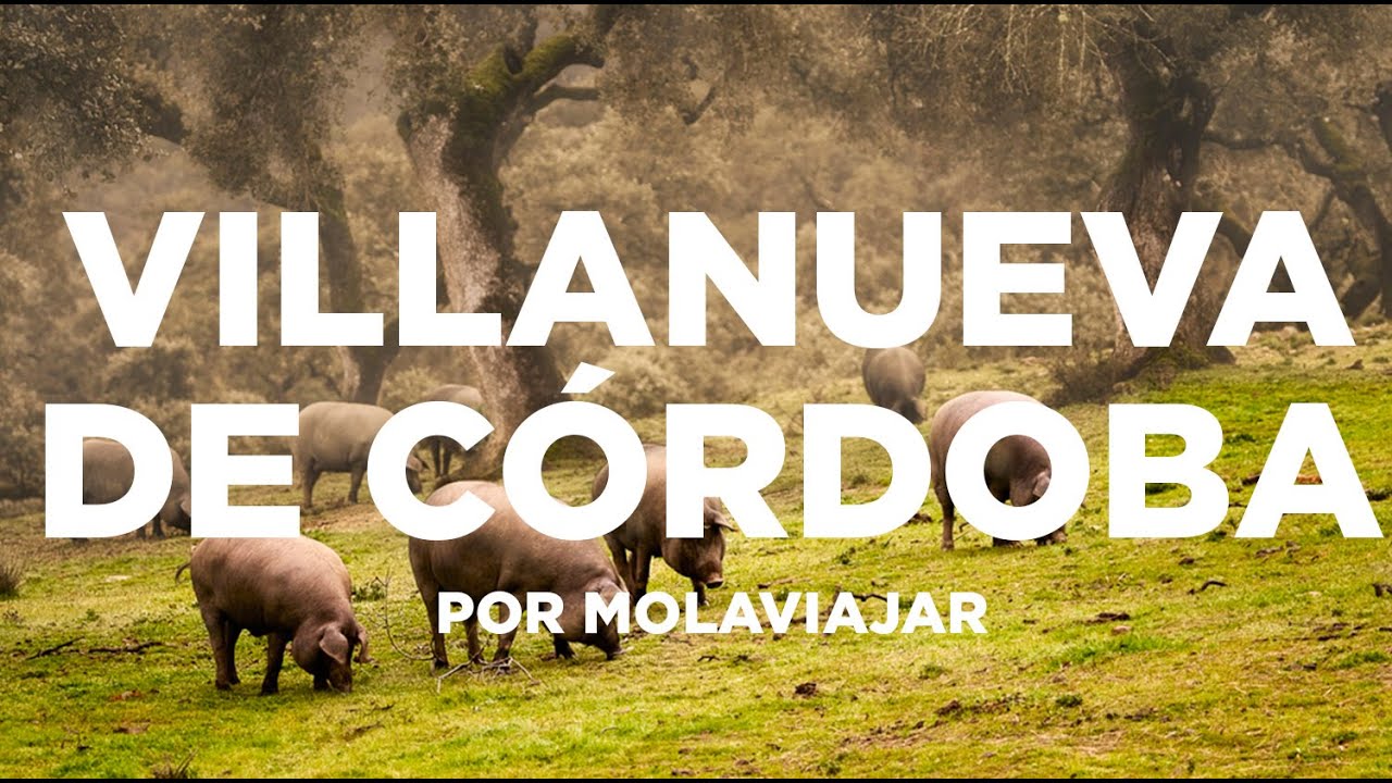 Comiendo Jamón en Villanueva de Córdoba