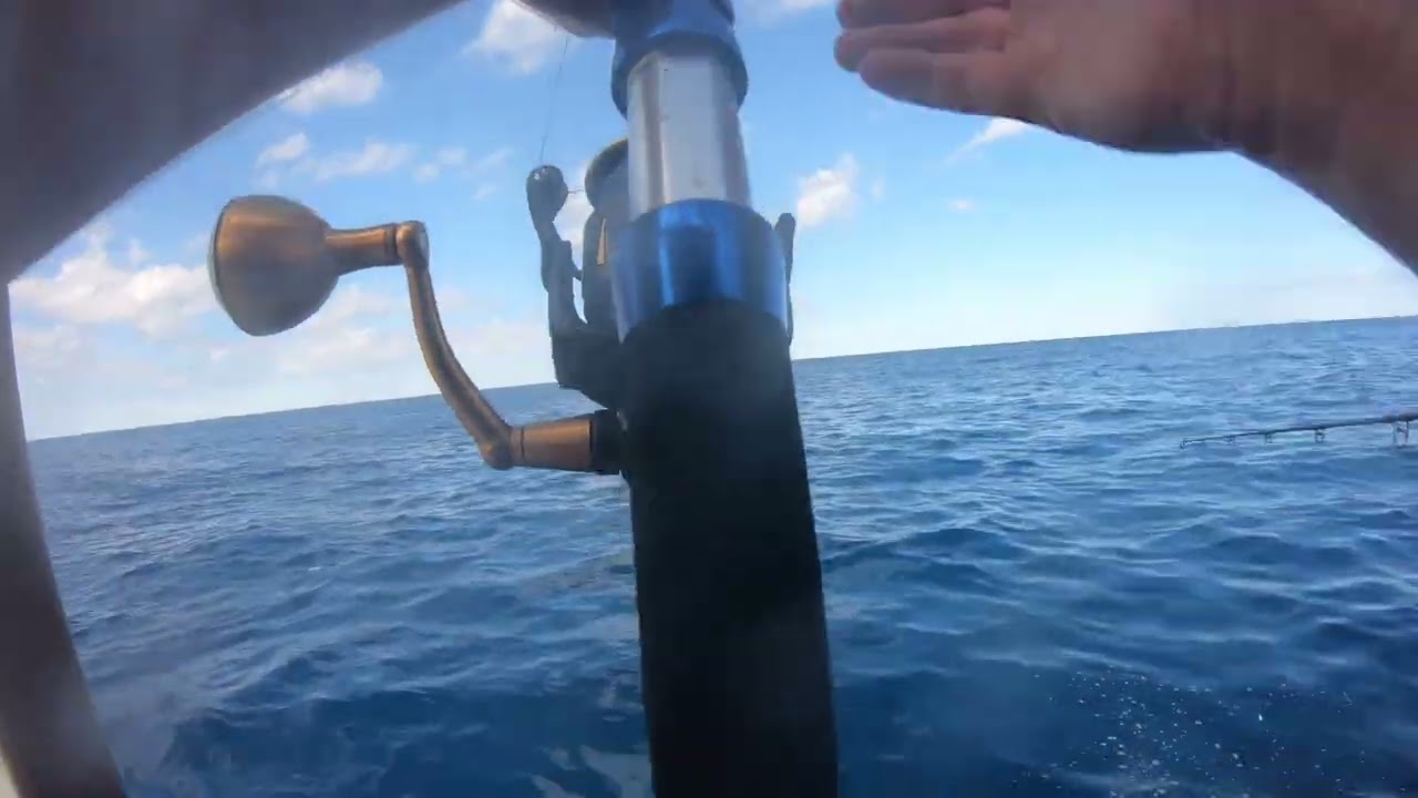 Blackfin and Yellowfin Footballs in Port Aransas Texas on the 30 hour trip