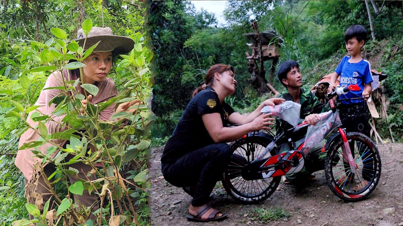 Phong went to buy a bicycle for his child, but the deaf and mute girl followed Phong [ Mi mủi ]
