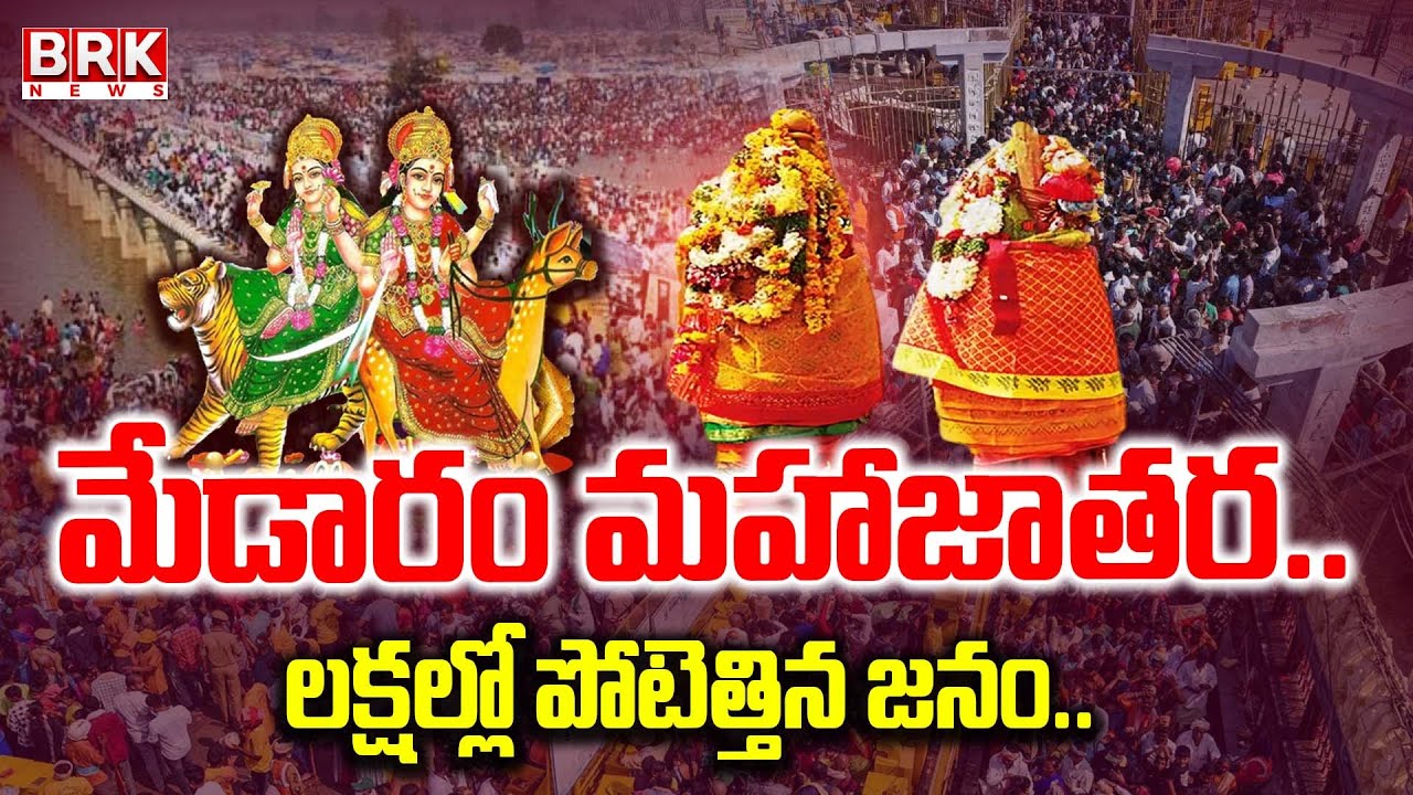 మేడారం జాతర | Medaram Jatara 2026 | Sammakka Saralamma Jatara || BRK News