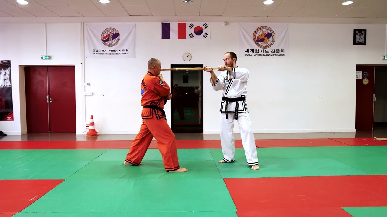 MASTERCLASS HAPKIDO JJK ONLINE