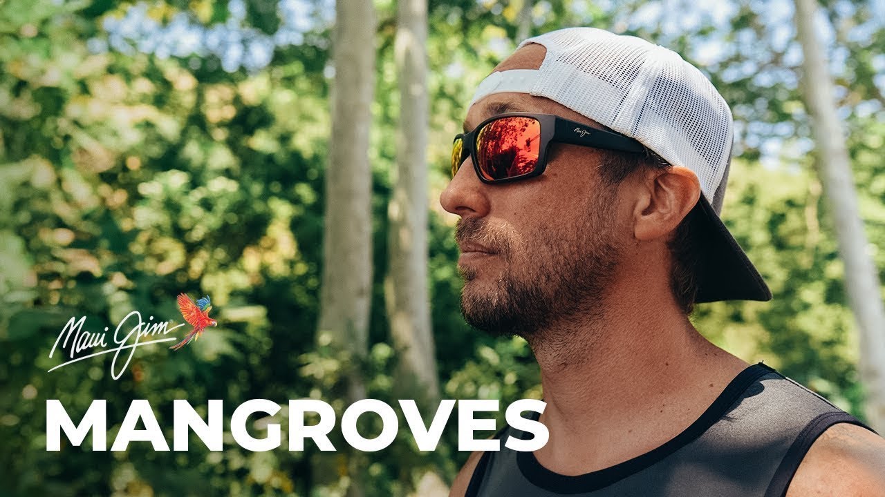 Maui Jim Mangroves Review – Men's Wrap Sunglasses