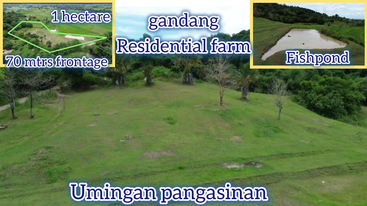Lot#681 Residential farm w/ burol,fishpond, 70 mtrs frontage, ganda iimprove 4 fruitfarm, 1 hectare