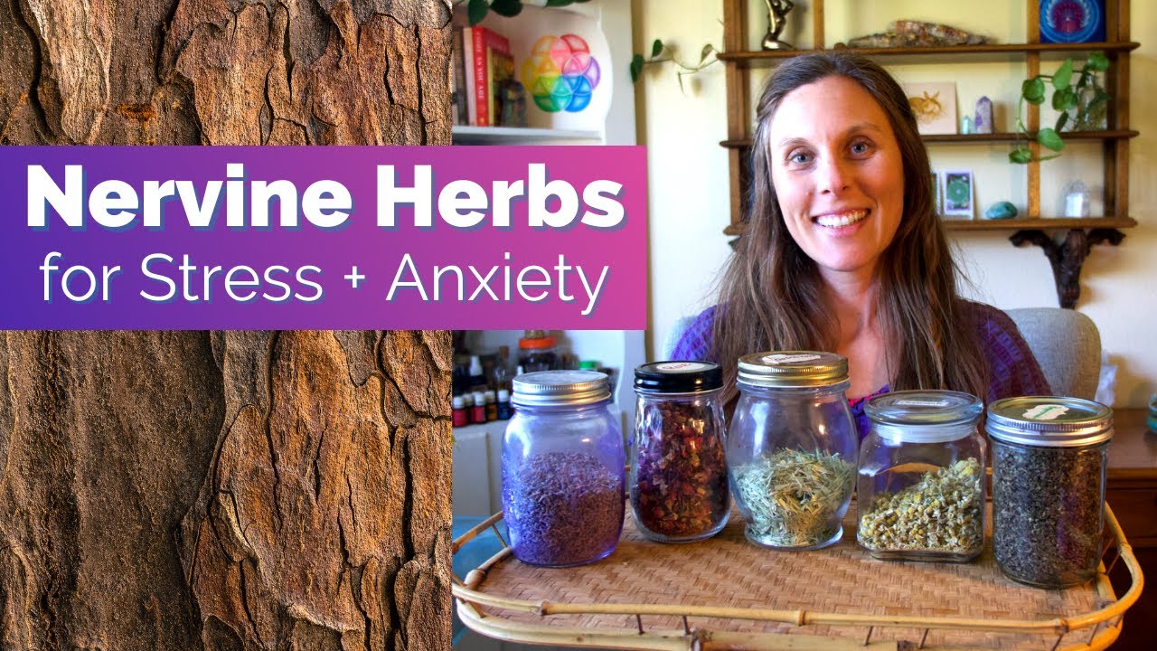 Nervine Herbs for Stress and Anxiety