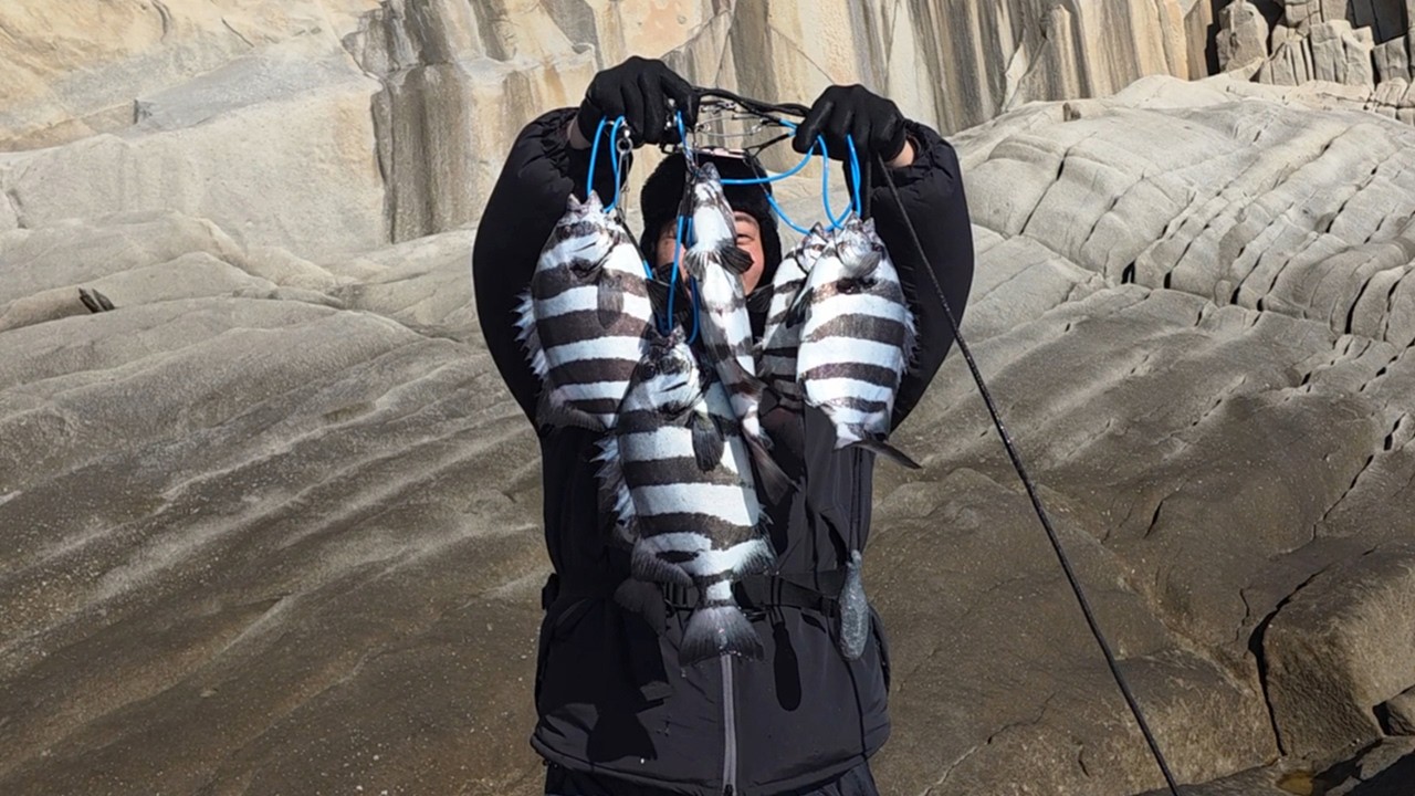 갯바위에서 12시간 동안 잡은 최상급 물고기의 모든 부위를 먹어보자!