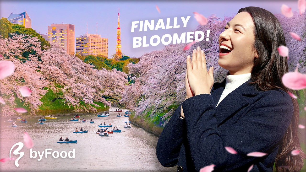 Идеальный маршрут по Токио для любования цветущей сакурой 🌸