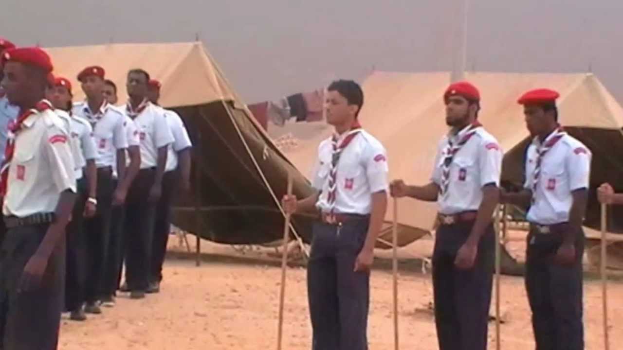 صيحات منوعة