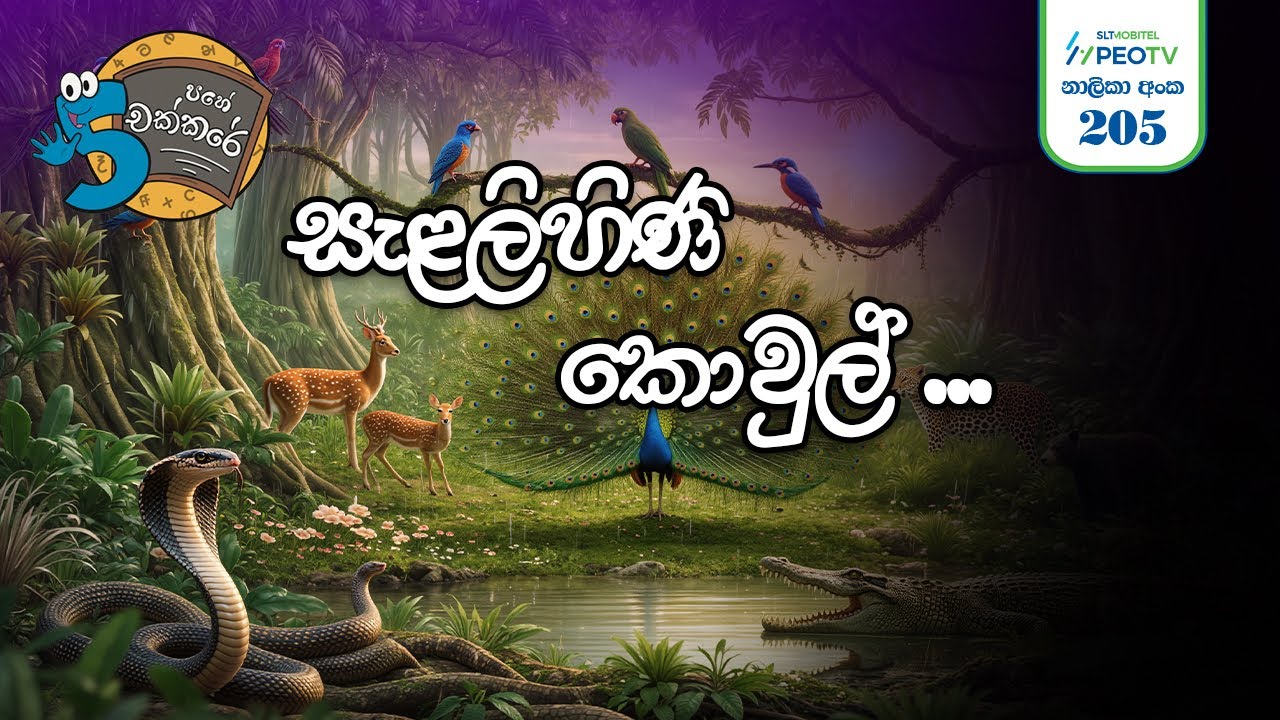 🔊 සැළලිහිණි කොවුල් හඬ | Salalihini Kowul Handa cover song (පහේ චක්කරේ | 5 Pahe chakkare)