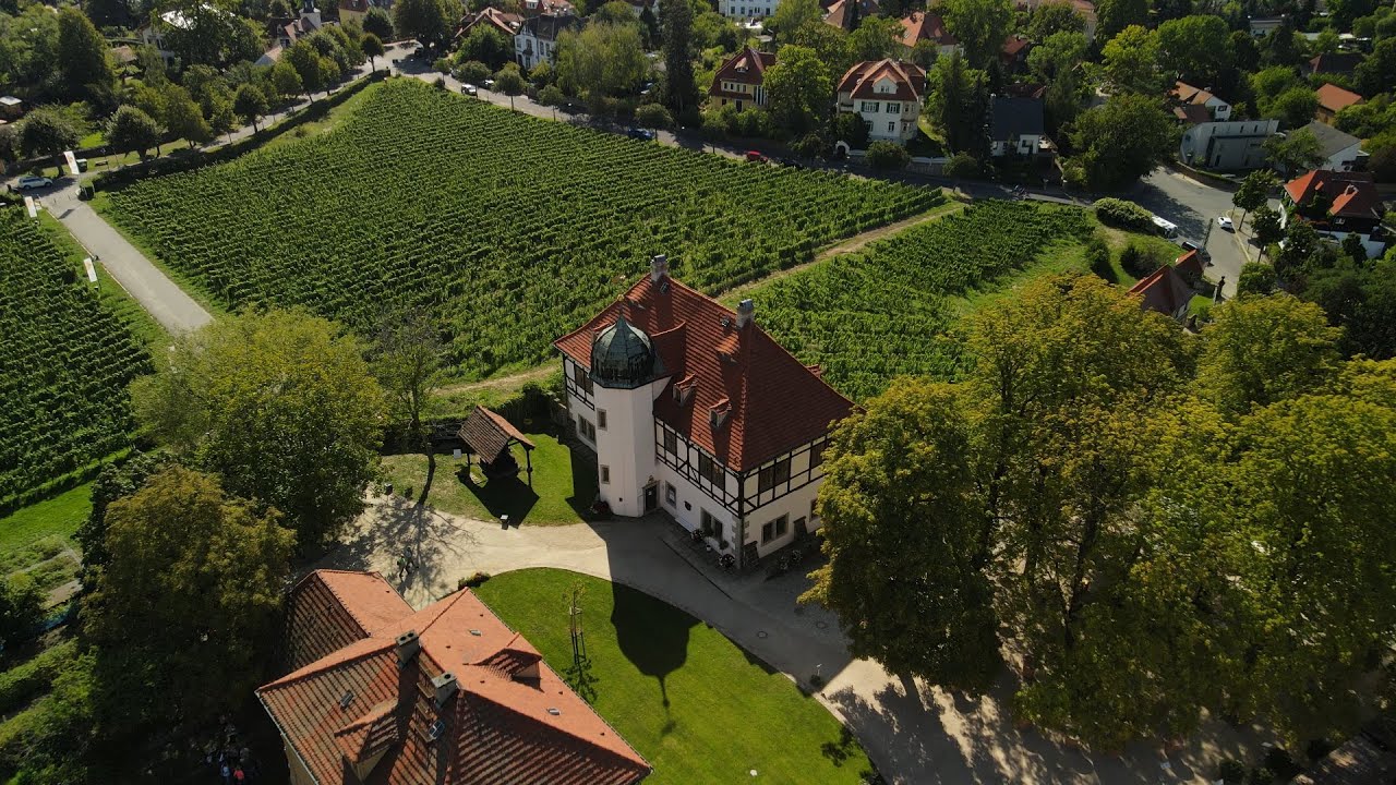 So hast du das Weingut Hoflößnitz noch nie gesehen.