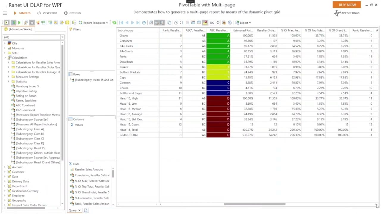 Ranet Analytics - BI tools for developers and end users