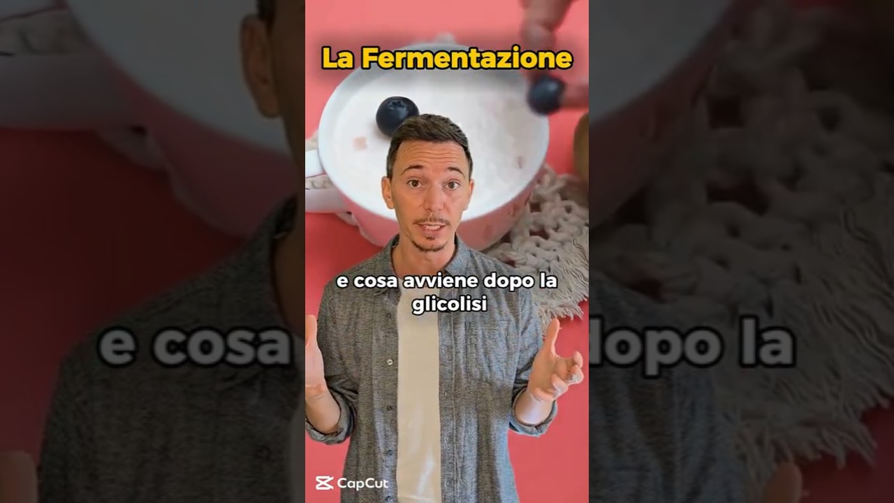 La FERMENTAZIONE 🍻