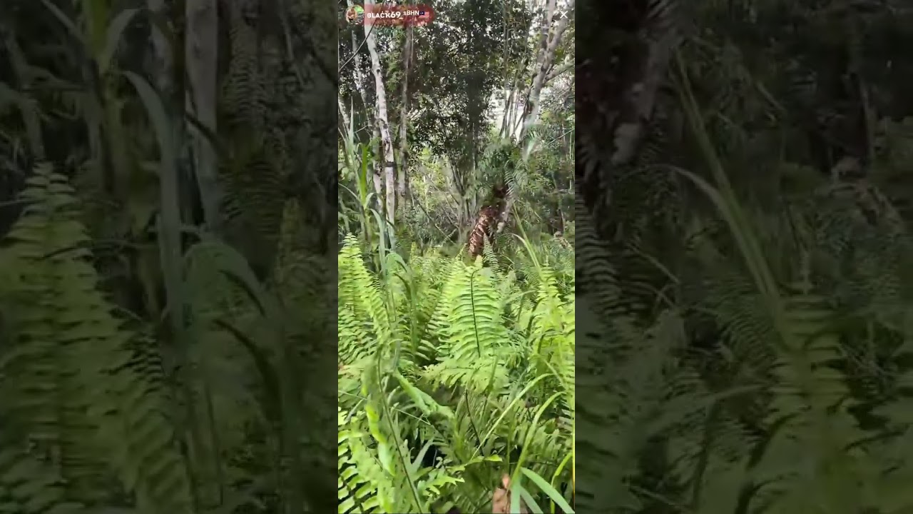 MISI CARI ORANG HILANG  SIBU SARAWAK PARANORMAL BLACK SABAHAN69 PART 1/3
