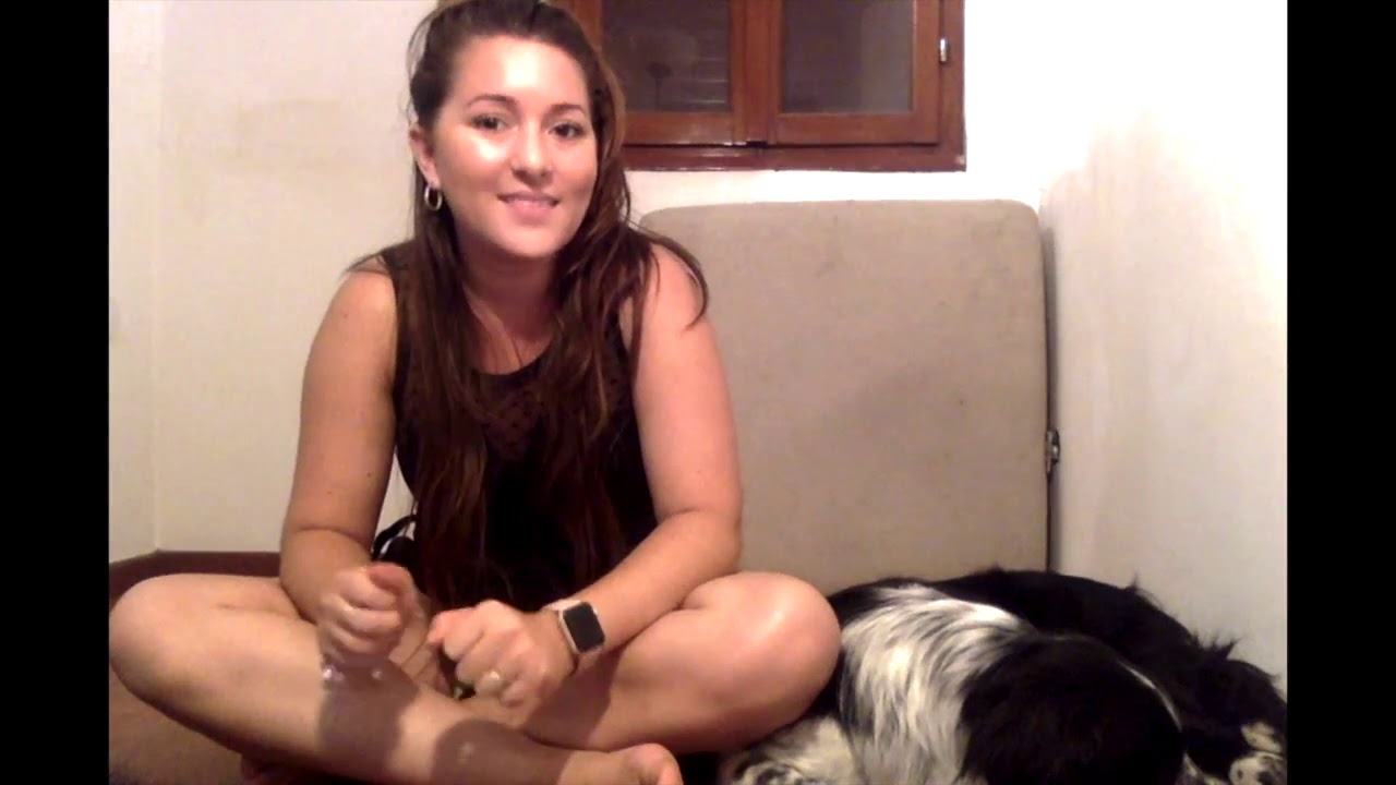 Addestramento cane - STOP - Insegnamento ed errori