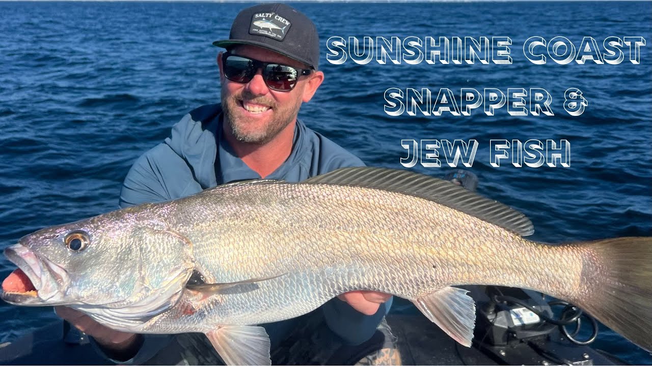 SNAPPER & JEW FISH off the Sunshine Coast