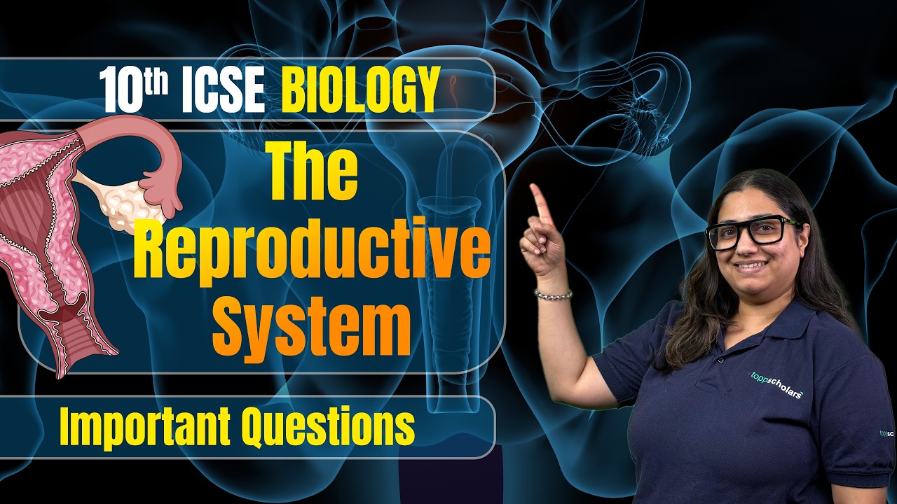 Reproductive System | ICSE Class 10 Biology PYQs | Most Important Board Questions 🔥