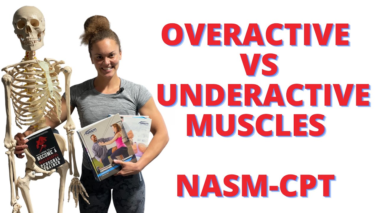 Чрезмерно и недостаточно активные мышцы: ОБЯЗАТЕЛЬНО ЗНАТЬ NASM-CPT | Show Up Fitness помог более...