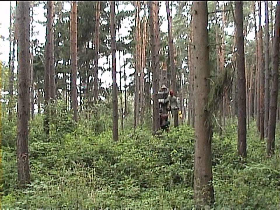 DSCHUNGELFAHRT im Serengetipark Hodenhagen - 4:3