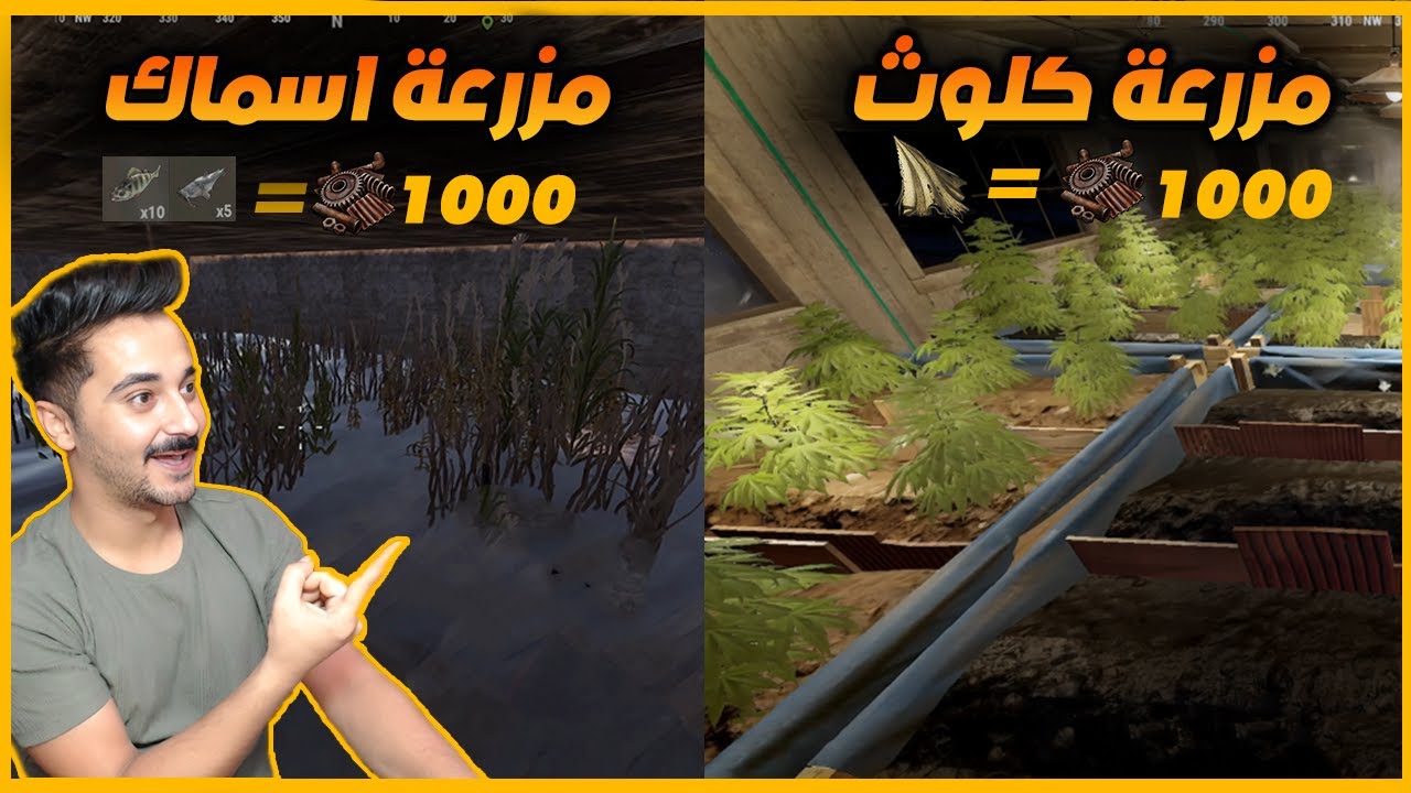 راست مزرعة كلوث + مزرعة اسماك - ريدت جاري  😱 - Rust