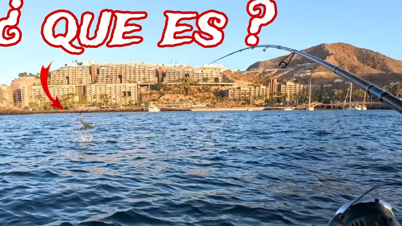 24kg De PESCADO DESCONTROLADISIMA Esta PESCA