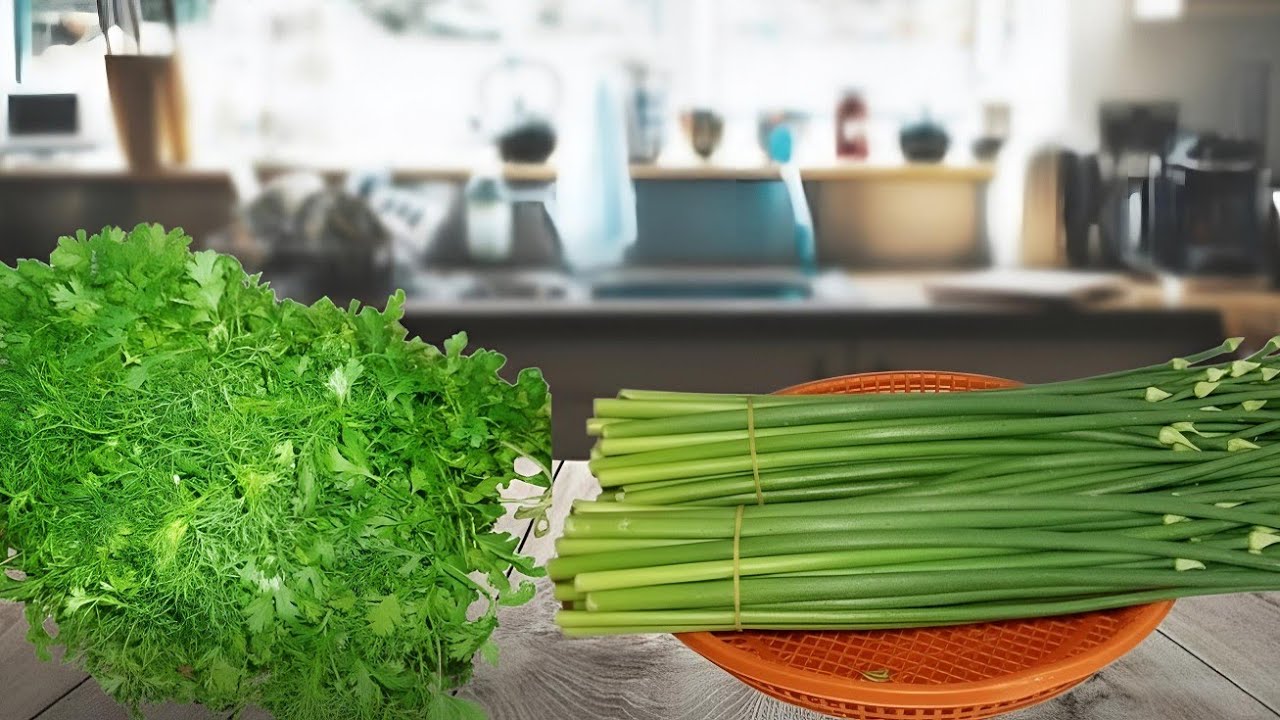 পেঁয়াজ কলি ও ধনে পাতা সংরক্ষণ। How to store Spring Onion & Coriander Leaves | Peyaj koli/Dhone Pata