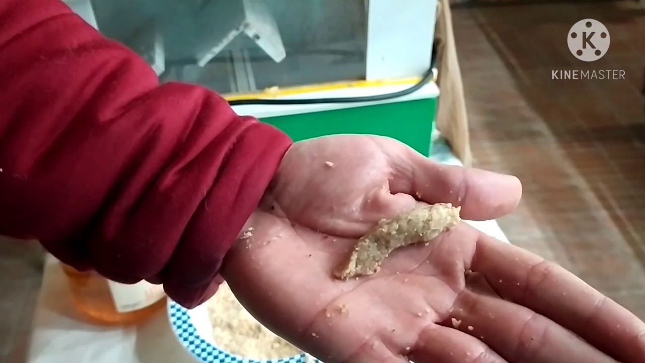 come mandare in amore i cardellini (NATURALE )💯x💯