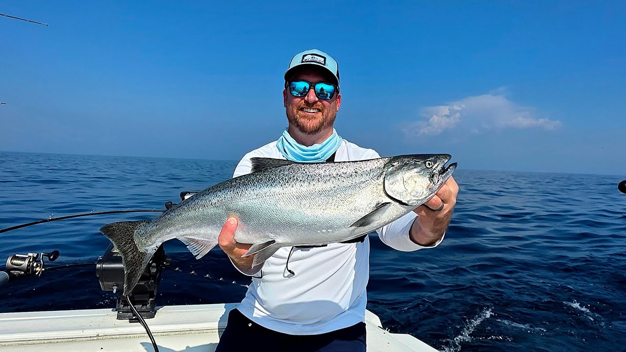 KING SALMON!!!...Lake Michigan Summer KINGS Showing UP!!!...Catch and Cook