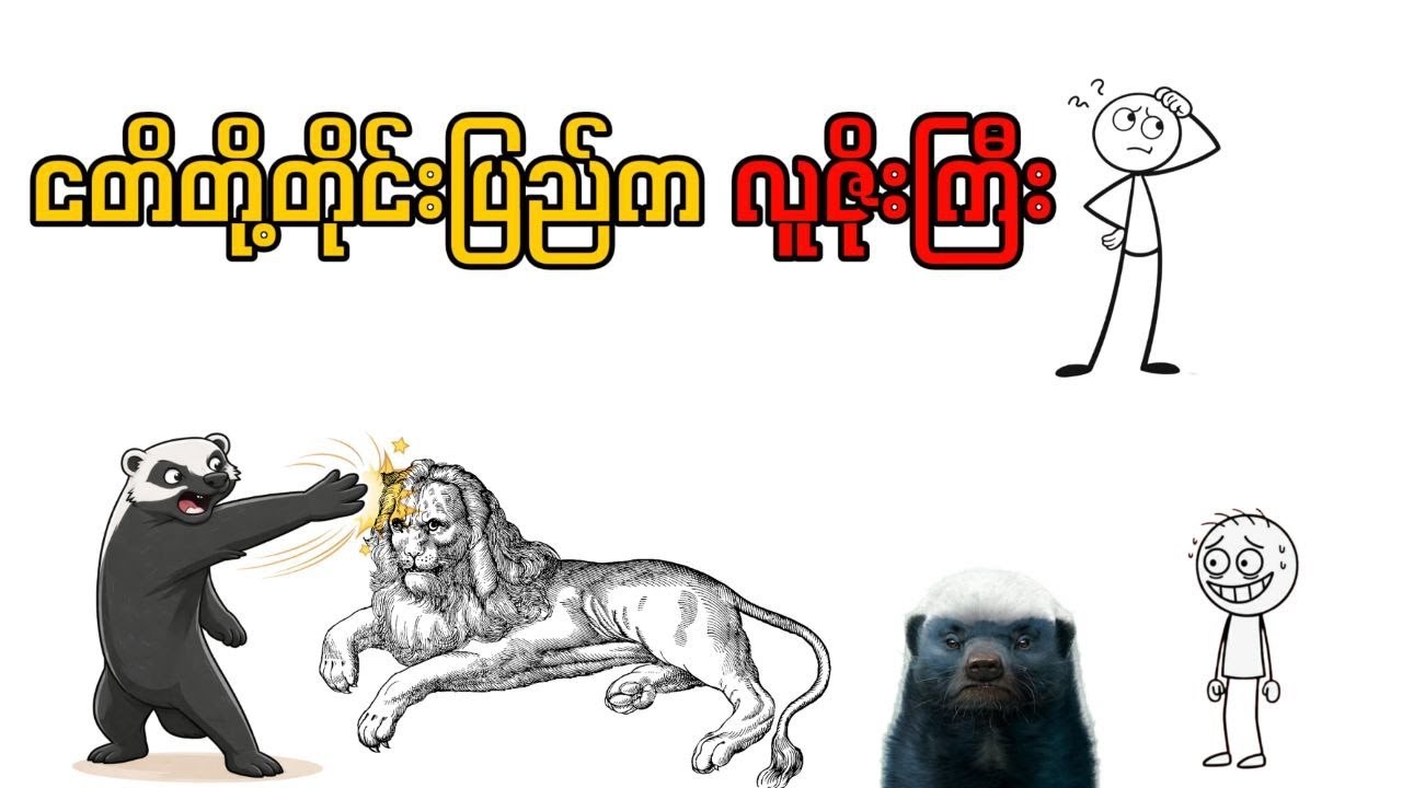 တောထဲက လူမိုက်ကြီး – Honey Badger ရဲ့ မယုံနိုင်စရာ ဘဝဇာတ်လမ်း