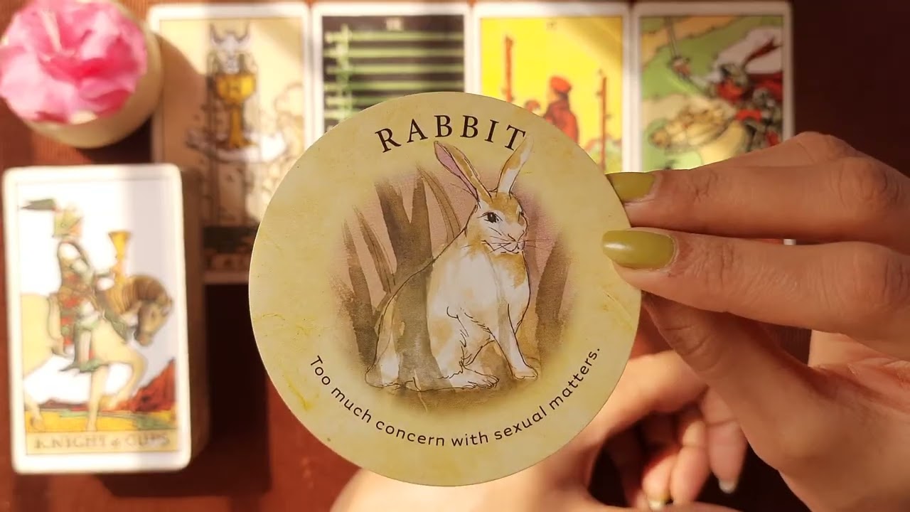 CANCER / कर्क ♋️ | 16/2 - 22/2 | WEEKLY TAROT CARD READING | SIYAHI TAROT IN HINDI