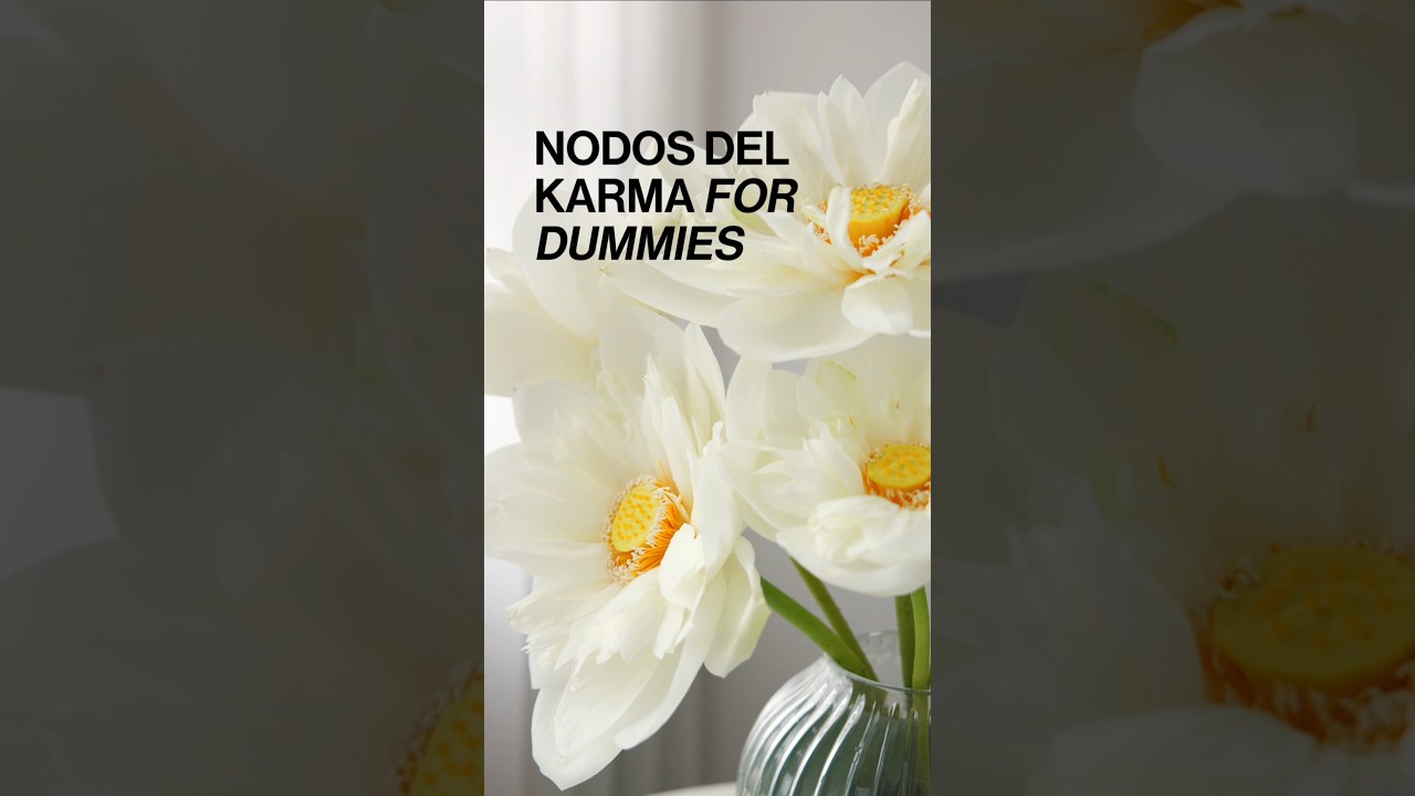 &iquest;Nodo Norte o Nodo Sur? Este 8/8, elige crecer. 💫 #NodosDelKarma #Portal88