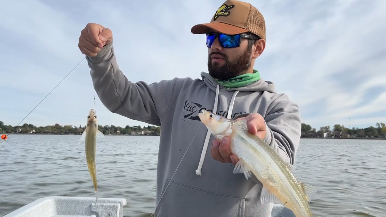 PESCA DE PEJERREYES EN SAN MIGUEL DEL MONTE
