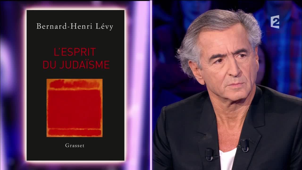 Bernard-Henri Lévy - On n'est pas couché 13 février 2016 #ONPC