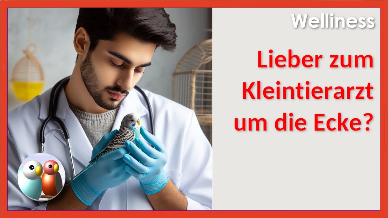 Warum der Tierarzt vogelkundig sein muss - Wellensittiche