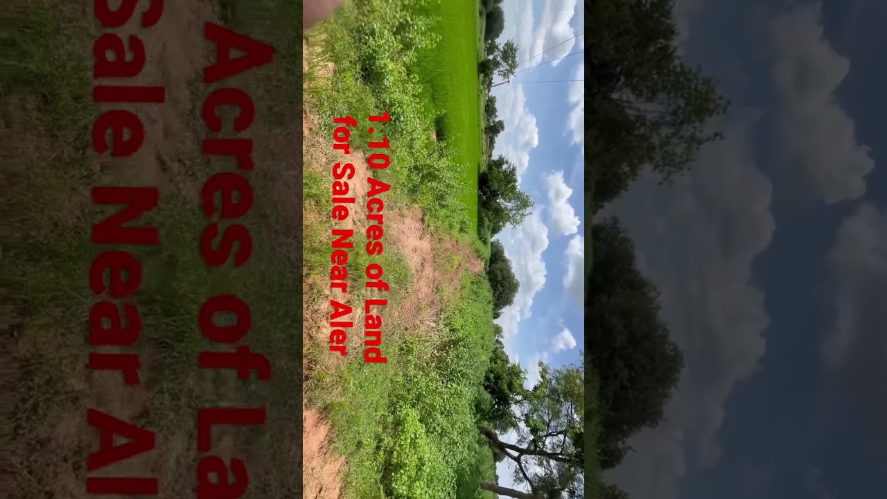 Agriculture Land For Sale near #Yadadri #Aler Check Comments Section For More Info