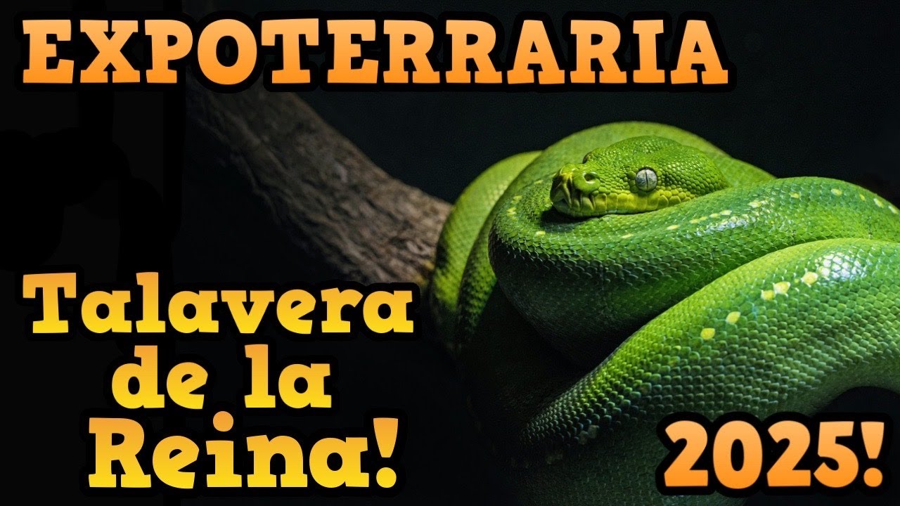 EXPOTERRARIA TALAVERA DE LA REINA 2025! ///GONZALEZ VK