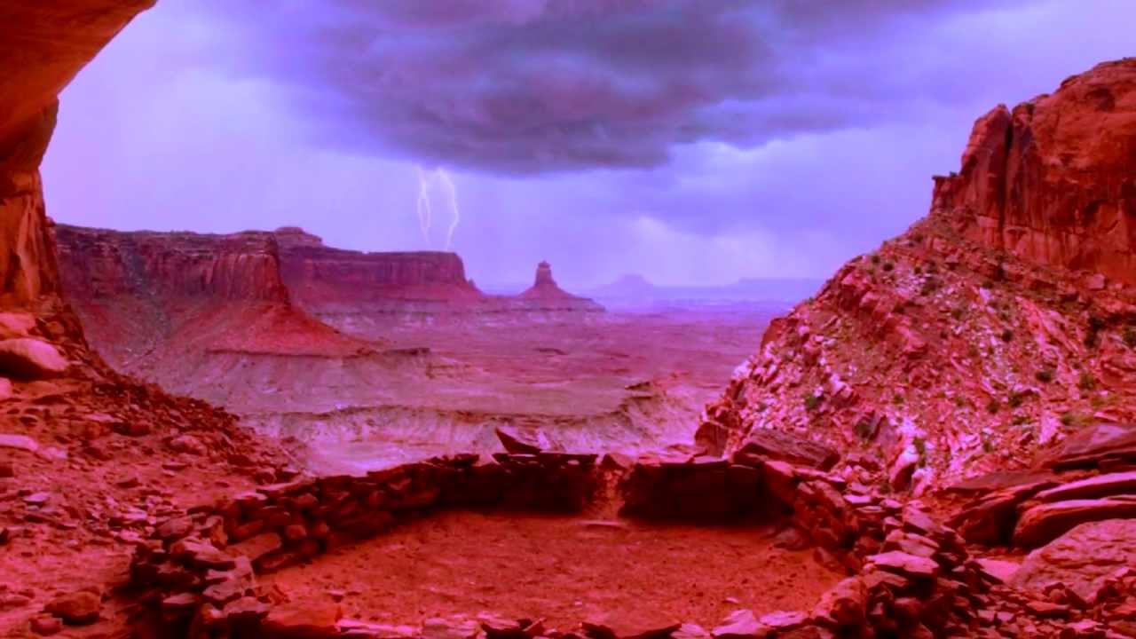 cary b curtis -  anasazi beans