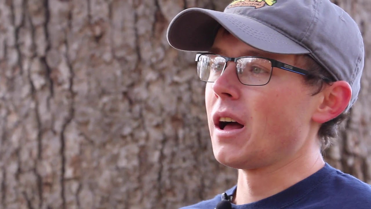 Touring Iowa's Forests: Oak Savanna