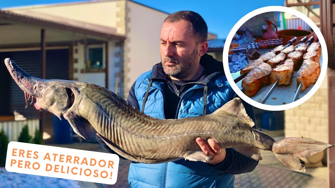 Cocinar peces grandes parrilla de barbacoa de esturión en carbón vegetal🐟🐟