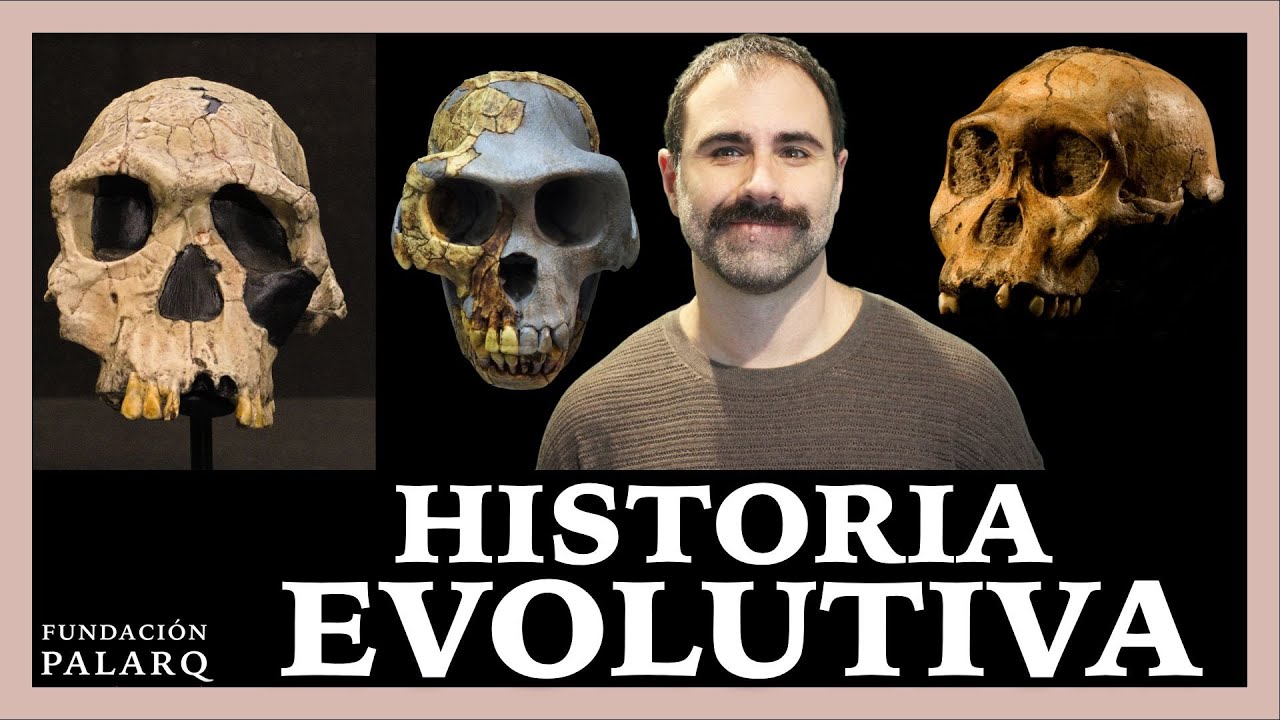La Historia de la Evolución: 500 Millones de Años en 10 Minutos ⏱️