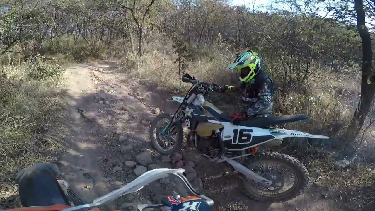 Aver dale tu dice el Bro Rafa jajaja🤣🤣