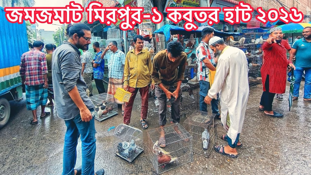 রমজান স্পেশাল মিরপুর-১ কবুতর হাট ১৩/০৩/২০২৬ | Kobutor Hat 2026 | Bangladeshi Pigeon Market | 