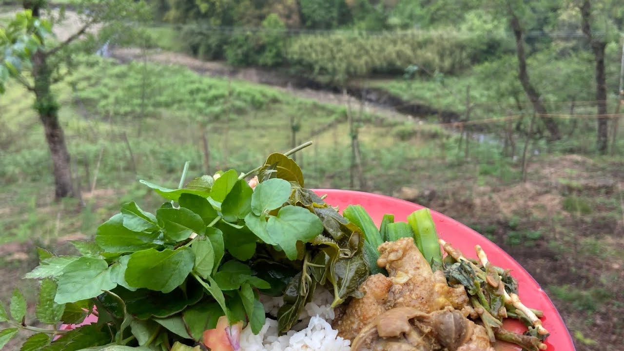 #family weekend #village life//nagaland