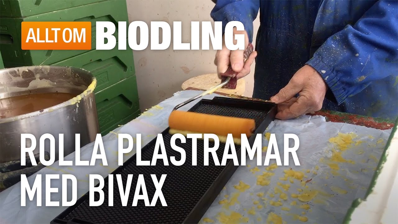 Rolla plastramar med bivax - Biodling