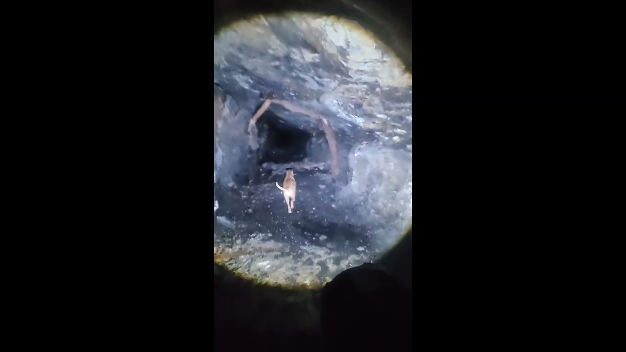 Explorando el Inframundo