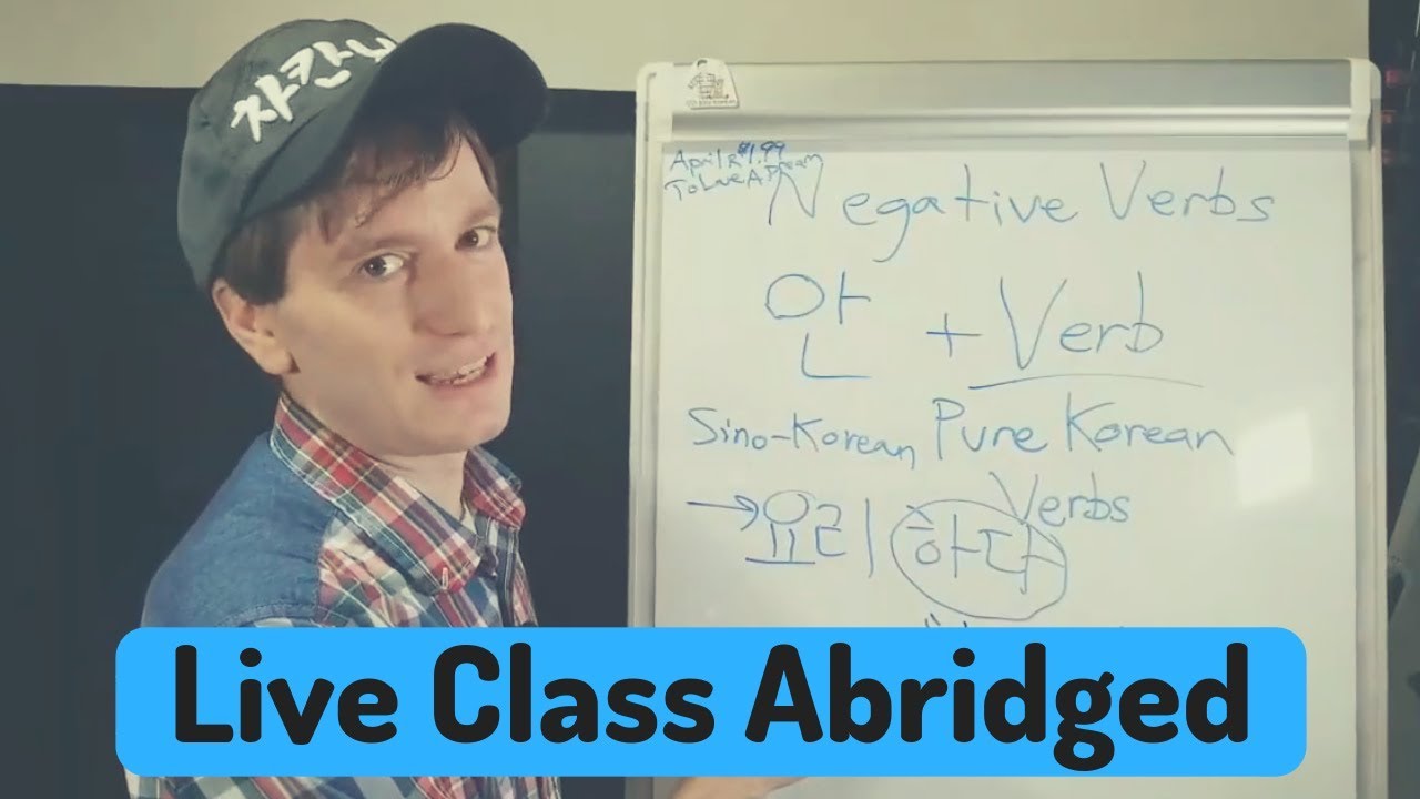 Korean Negative Verbs (안, ~지 않다, 못) | Live Class Abridged