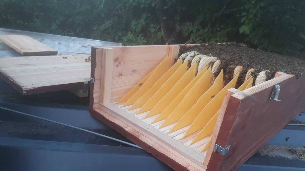 Bienenkiste, Honigleisten einbauen