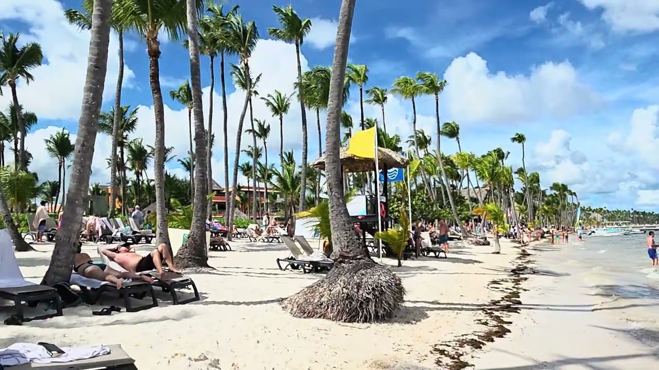 Barceló Bávaro Palace Beach- 2025 December 