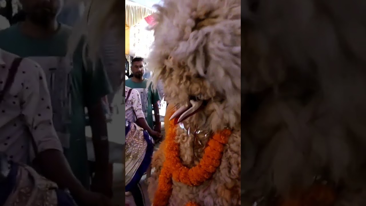 Muharram Bagh | Sooraj Bagh | Dhatkidih 2023
